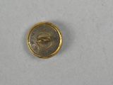 a close up of a coin on a white surface