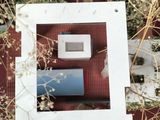 a picture of a picture of a flower arrangement in a picture frame