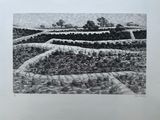 an image of a black and white drawing of a field