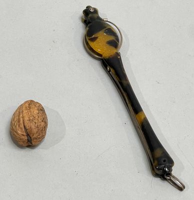 a picture of a walnut and a spoon on a table