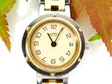 an image of a close up of a wrist watch with a leaf in the background