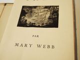 a book that has a picture of a cat on it