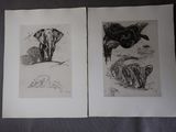deux dessins en noir et blanc représentant des éléphants et un chien sur un lit