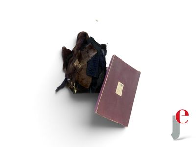 a bird that is sitting on top of a book