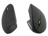 deux souris noires assises côte à côte sur une surface blanche
