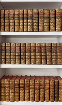 des livres rangés sur une étagère dans une bibliothèque qui regorge de livres anciens