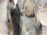a close up of a pair of shoes that are covered in ice
