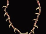 an image of a necklace with horns and beads on a black background