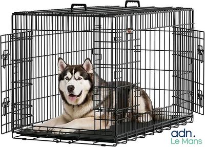 le chien est assis dans la cage, dont la porte est ouverte