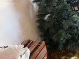 a cat that is sitting in a box next to a christmas tree