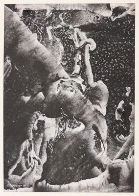 Erich Fitzbauer* (né en 1927 à Vienne)