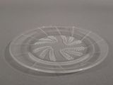 a clear plastic plate with a circular design on it