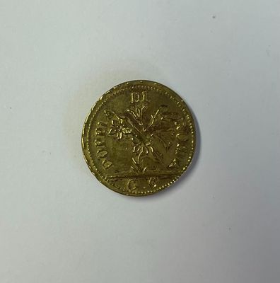 une pièce d'or sur laquelle figure l'image d'un homme