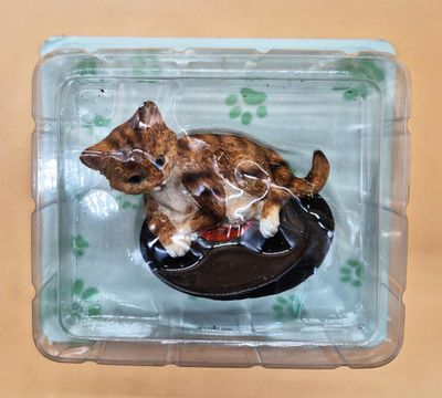 CHATS / Ensemble de 5 figurines de chats mis en scène, résin…