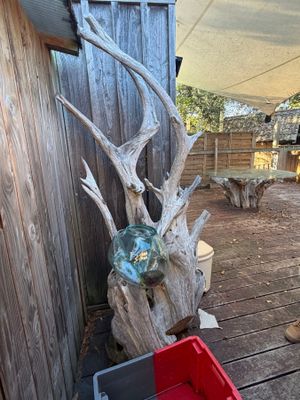 un bois de cerf et un bocal en verre posés sur une terrasse en bois