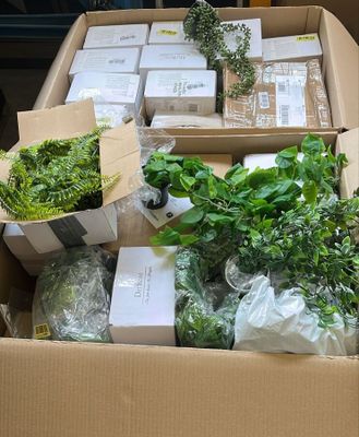 une boîte remplie de plantes posée par terre