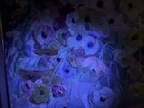a picture of a picture of a bunch of flowers in a box