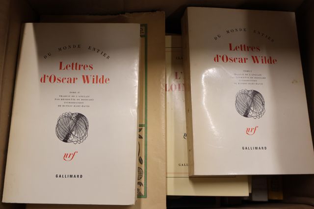 Lot de 5 cartons : histoire, littérature, OSCAR WILDE le crime de...