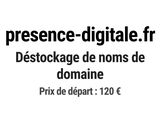 Photo 1/1 du lot