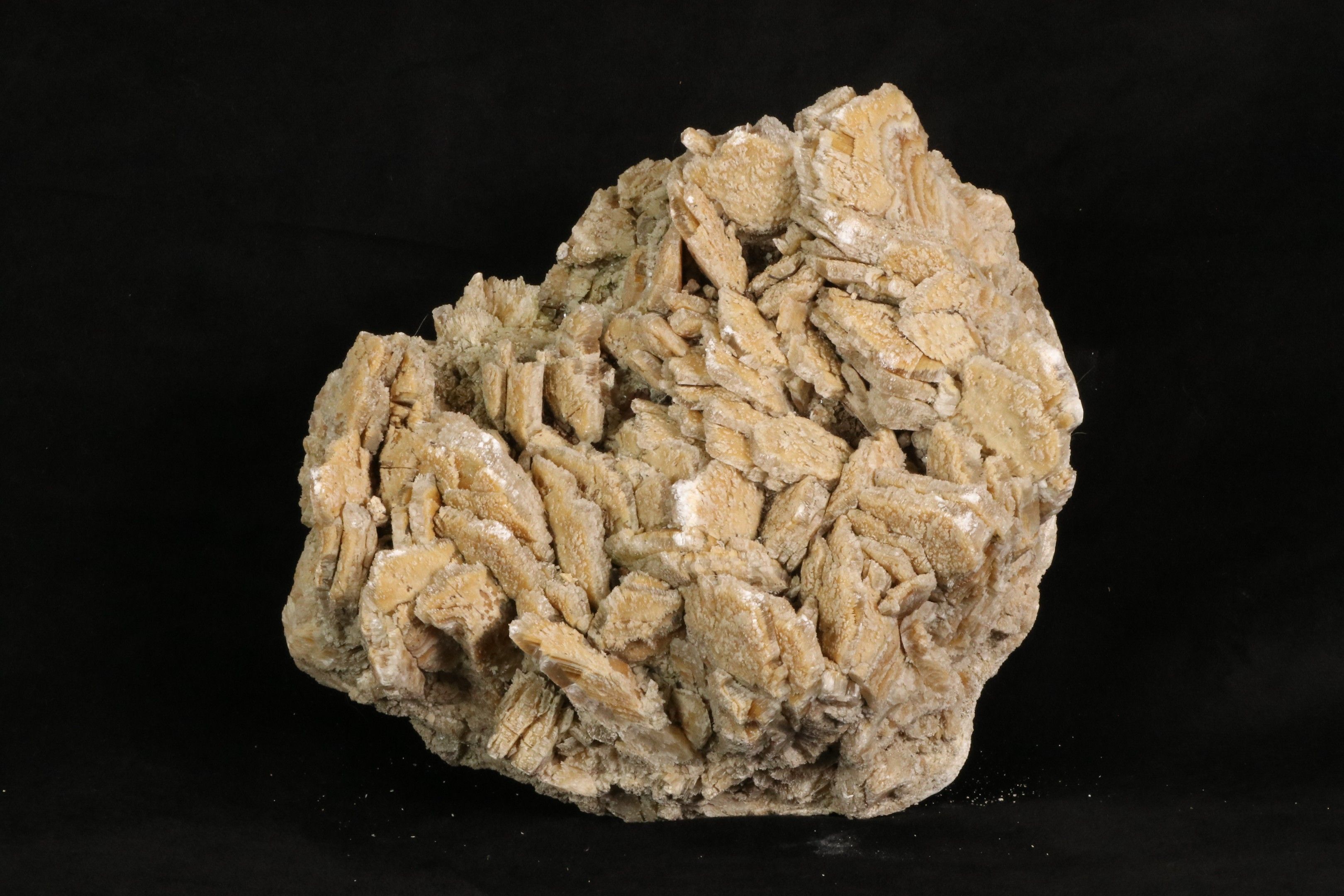 Objets d'art & Curiosités
