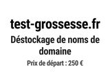 Photo 1/1 du lot
