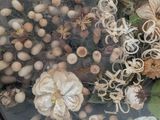 a bowl of dried flowers in a bowl on a table
