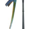 a parrot that is sitting on top of a pole