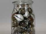 a glass jar filled with shells on a white surface