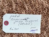a piece of paper with a note attached to it on a carpet