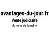 Photo 1/1 du lot