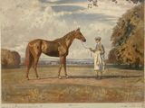 tableau représentant un homme debout à côté d'un cheval dans un champ