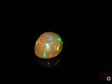 an oplite in the dark with a black background