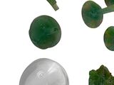a picture of broccoli and other vegetables on a white surface