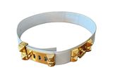 white leather dog collar with gold studs