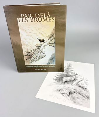 une image représentant un livre avec un dessin d'ours sur la couverture