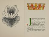 an open book with a drawing of a flower and a letter j on it