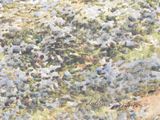 a painting of a flock of birds in a field