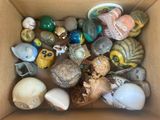 a cardboard box filled with assorted shells and figurines