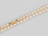 gros plan d'un collier de perles sur fond blanc