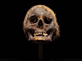 a close up of a skull on a stand against a black background