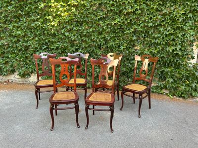 quatre chaises en bois disposées devant un mur de plantes vertes