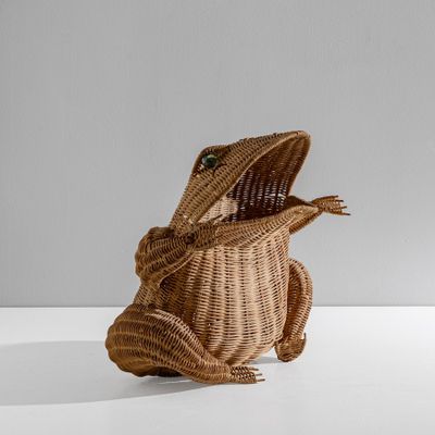 un petit sac en rotin avec un lézard à l'intérieur