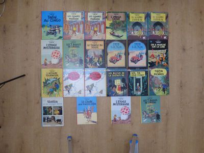 Il y a beaucoup de livres pour enfants accrochés au mur dans cette pièce.