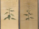 two paintings of flowers are hanging on a wall in a room