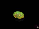 an oplite in the dark with a black background