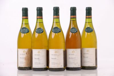 six bouteilles de vin sont alignées sur une surface blanche