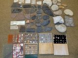 a lot of rocks and other items on the floor
