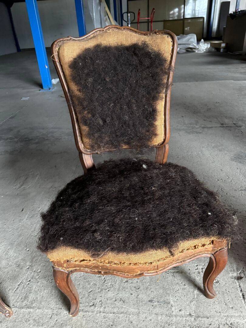 Objets d'art & Curiosités