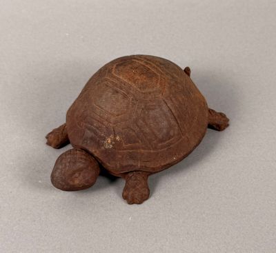 a small turtle that is sitting on a table