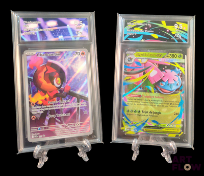 deux types différents de cartes Pokémon dans une vitrine